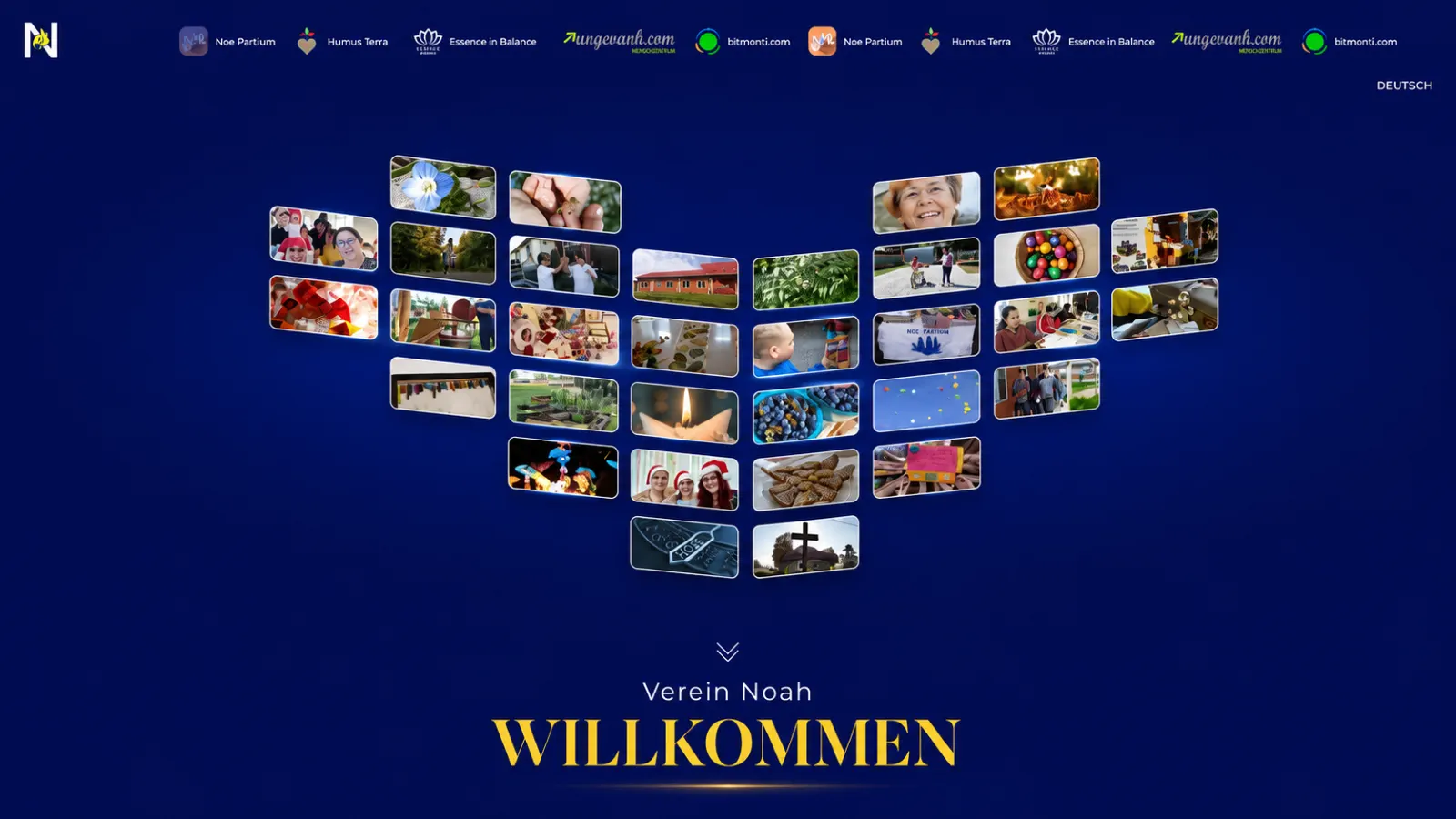 Verein Noah – Brand, Logo, Webseite